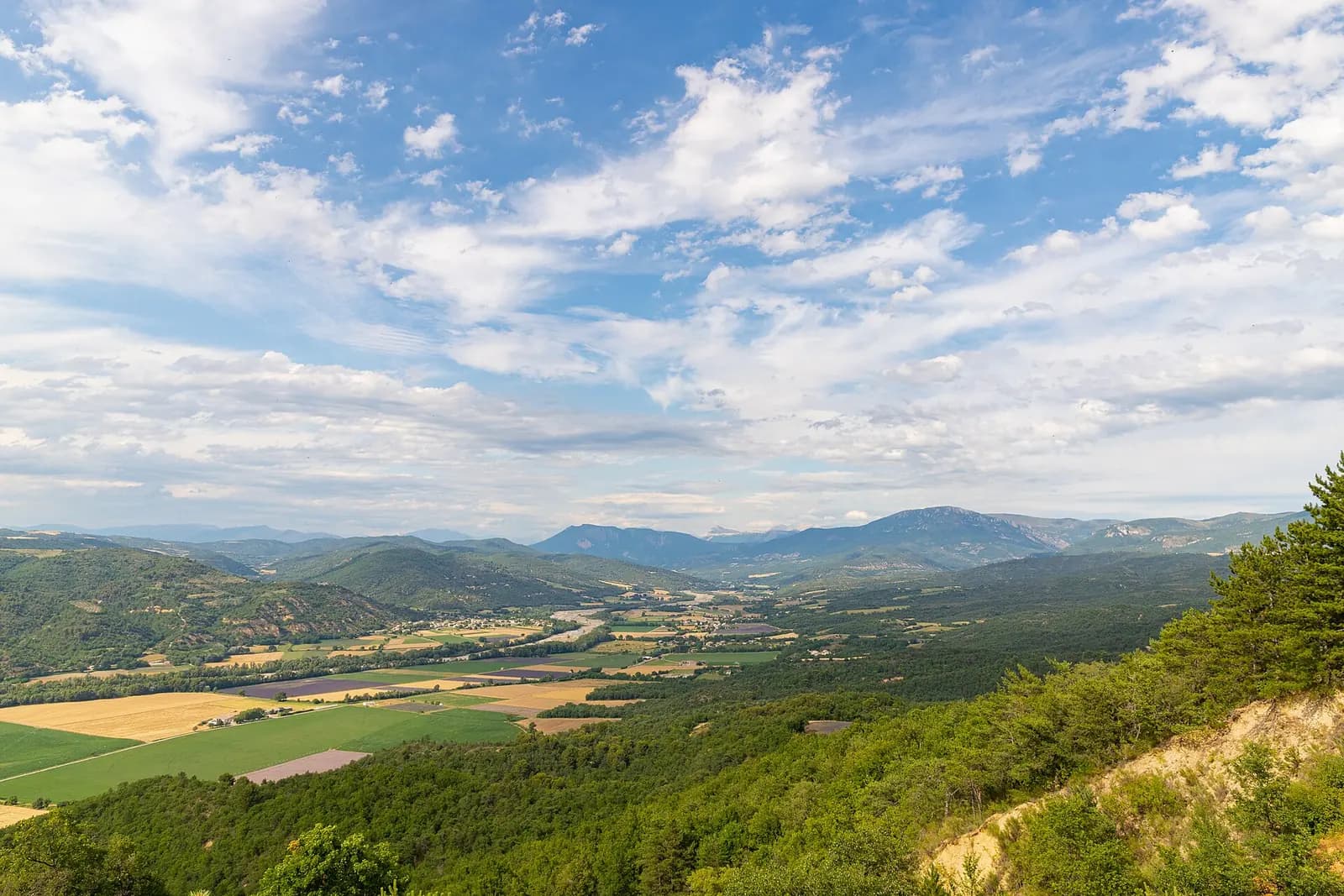 Aerial view of lavender fields in Provence, France (51695213163).jpg
