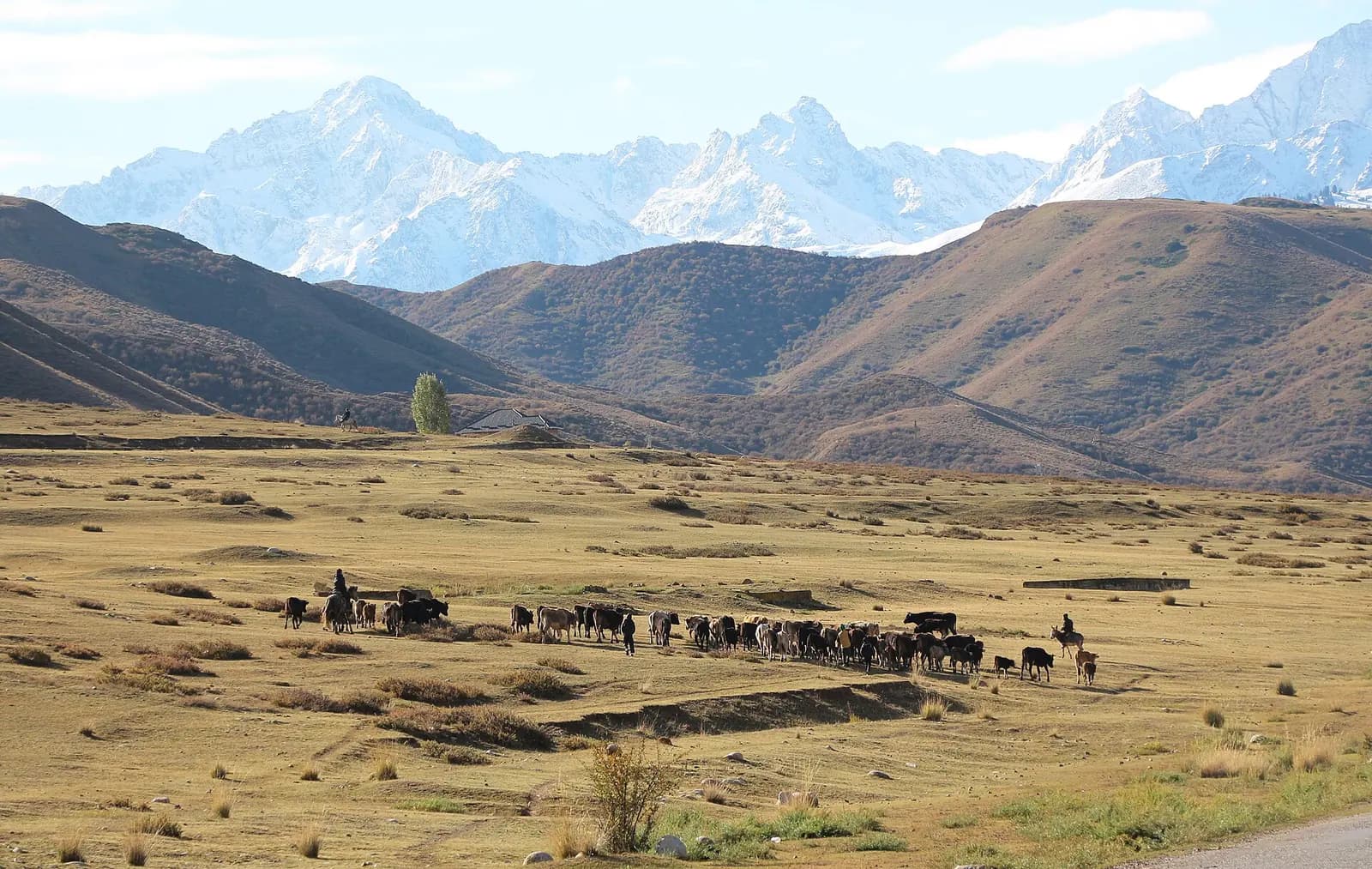 Tian Shan in Kyrgyzstan 02.jpg