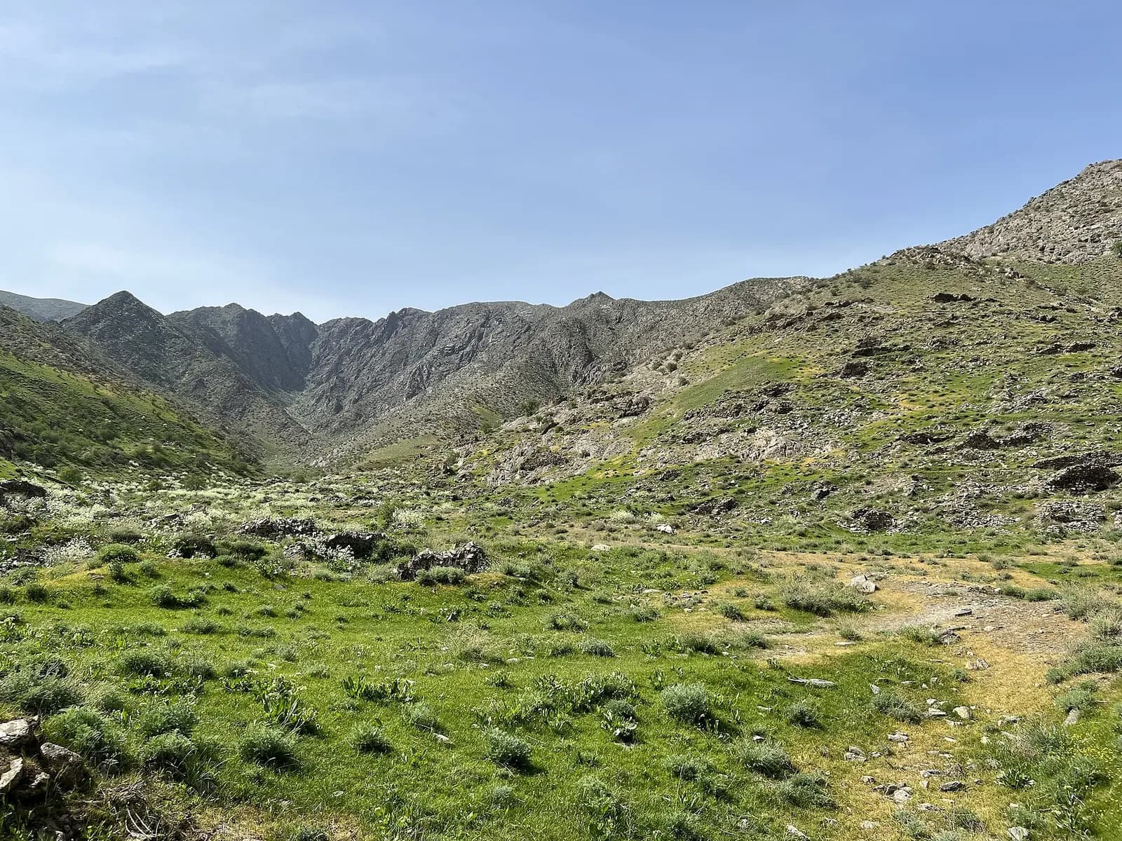 Nurata nature reserve.jpg