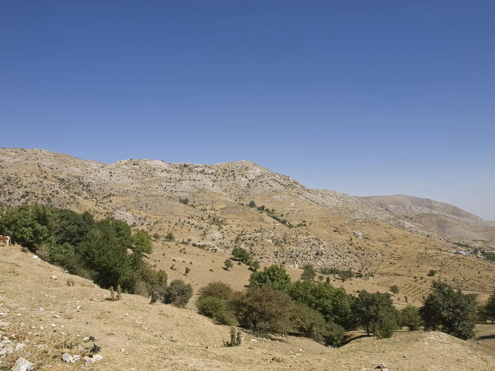 View from Takhta-Karacha Pass 1.jpg