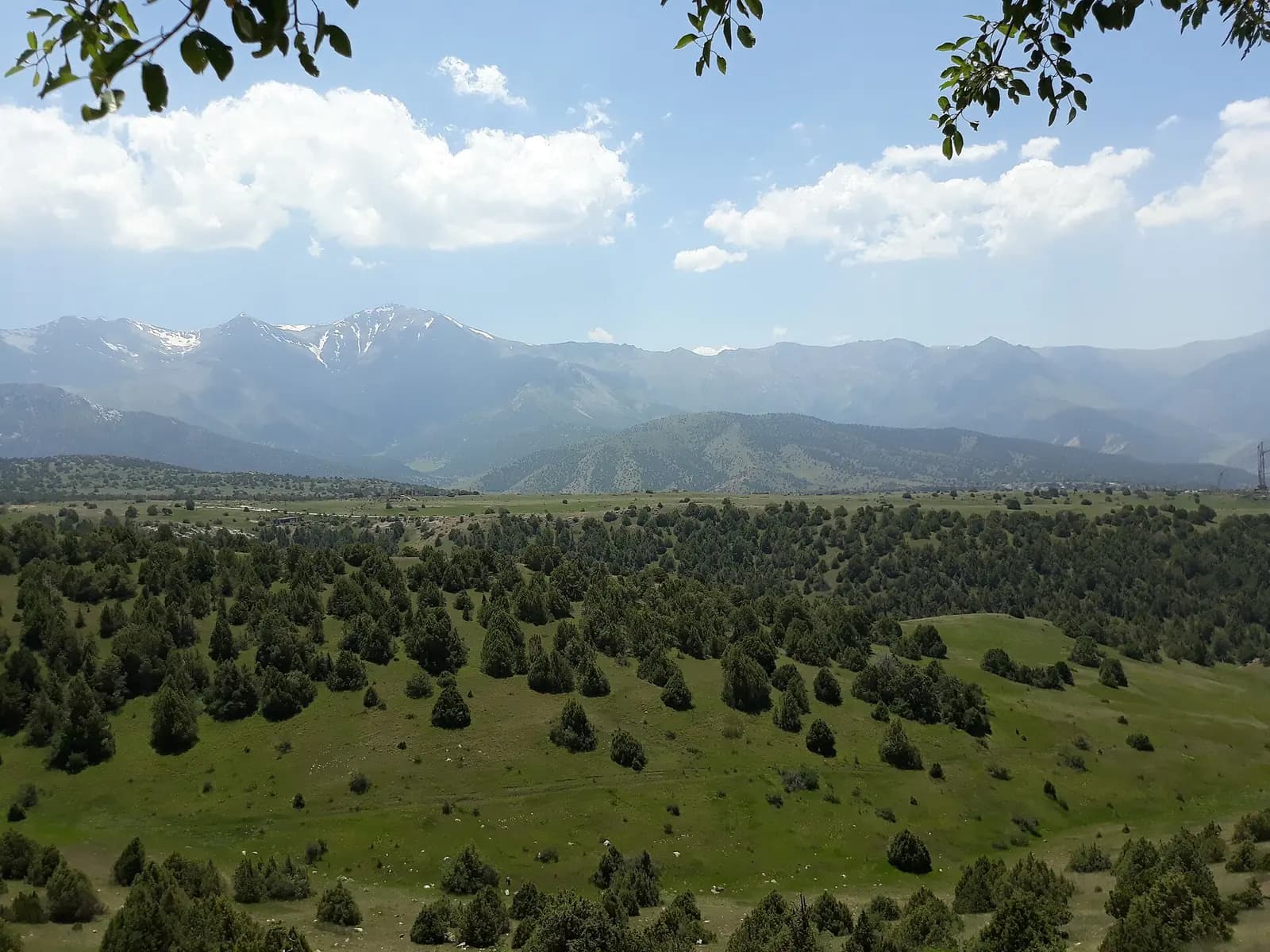 Zaamin National Park, Uzbekistan.jpg